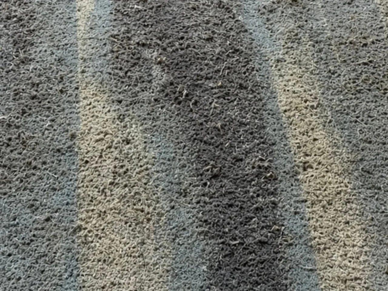 Close-up of embedded grit and packed dirt deep in the ocean-blue shag pile