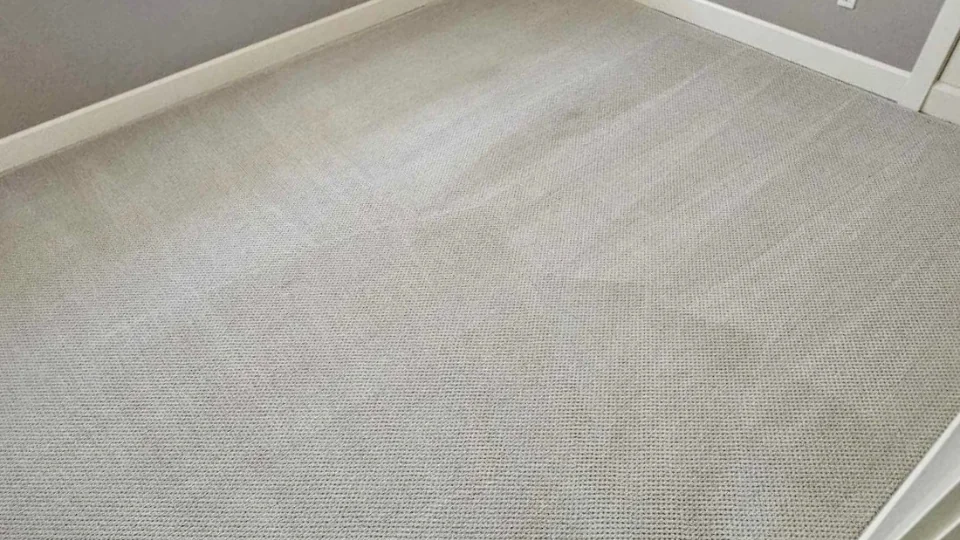 Carpet Cleaning Fishers Landing neighborhood in Vancouver WA