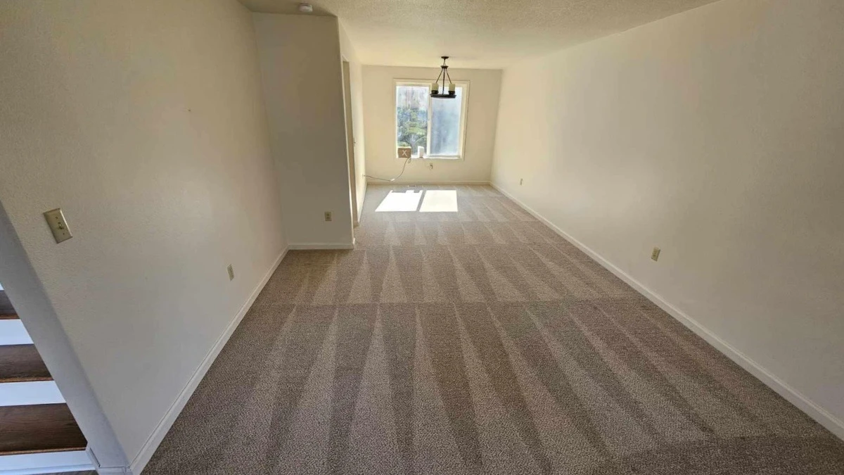 Carpet Cleaning in Vancouver WA