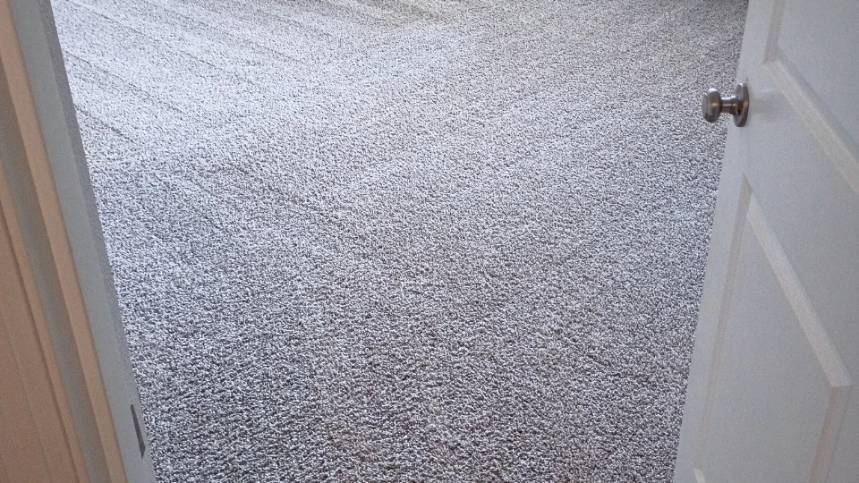 Carpet Cleaning Transformation in Salmon Creek WA