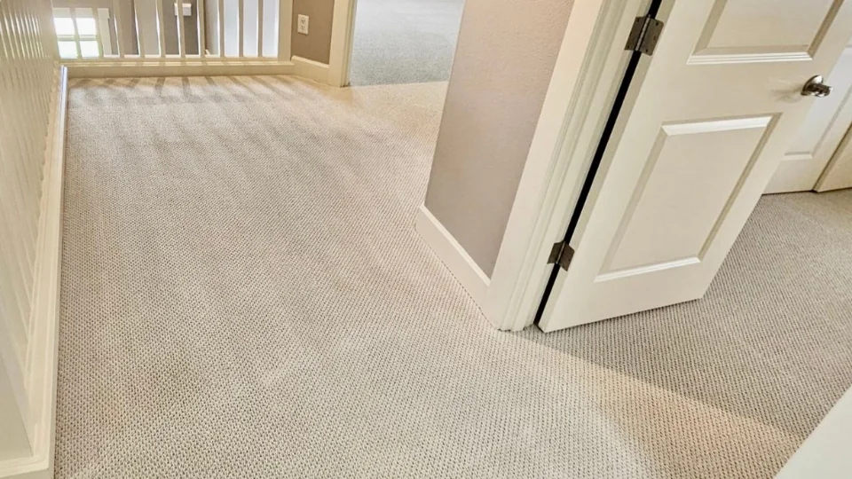 Carpet Cleaning Orchards WA