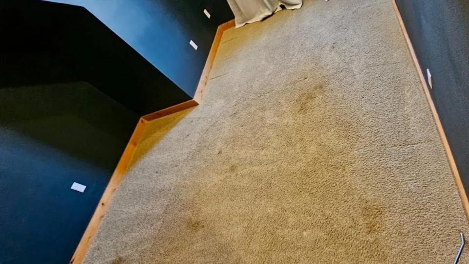 Carpet Cleaning in Battle Ground WA