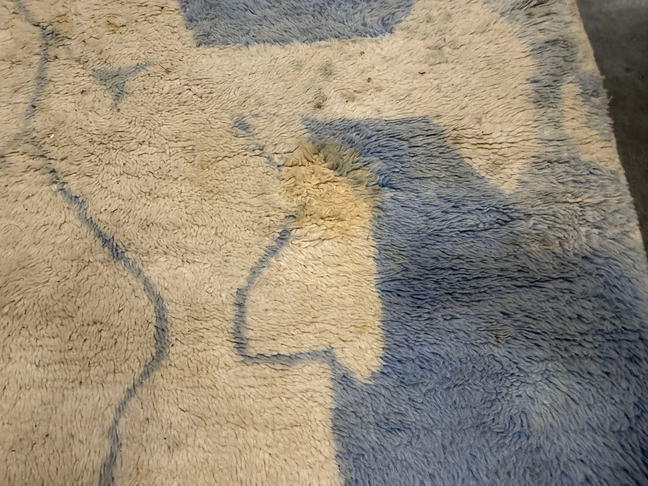 Arrival photo showing pet odor spots on the natural wool rug