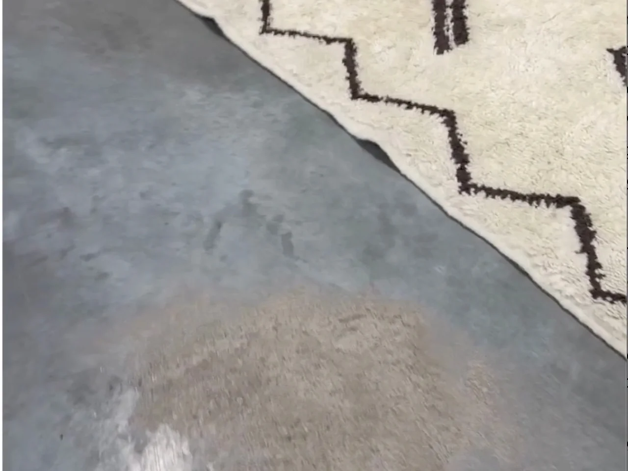 The vintage wool rug during dry dusting at the Benchmark plant