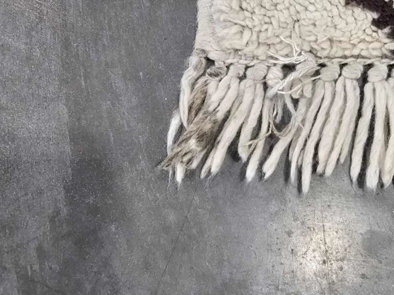 Close-up of the fringe and stains on the vintage wool rug before cleaning