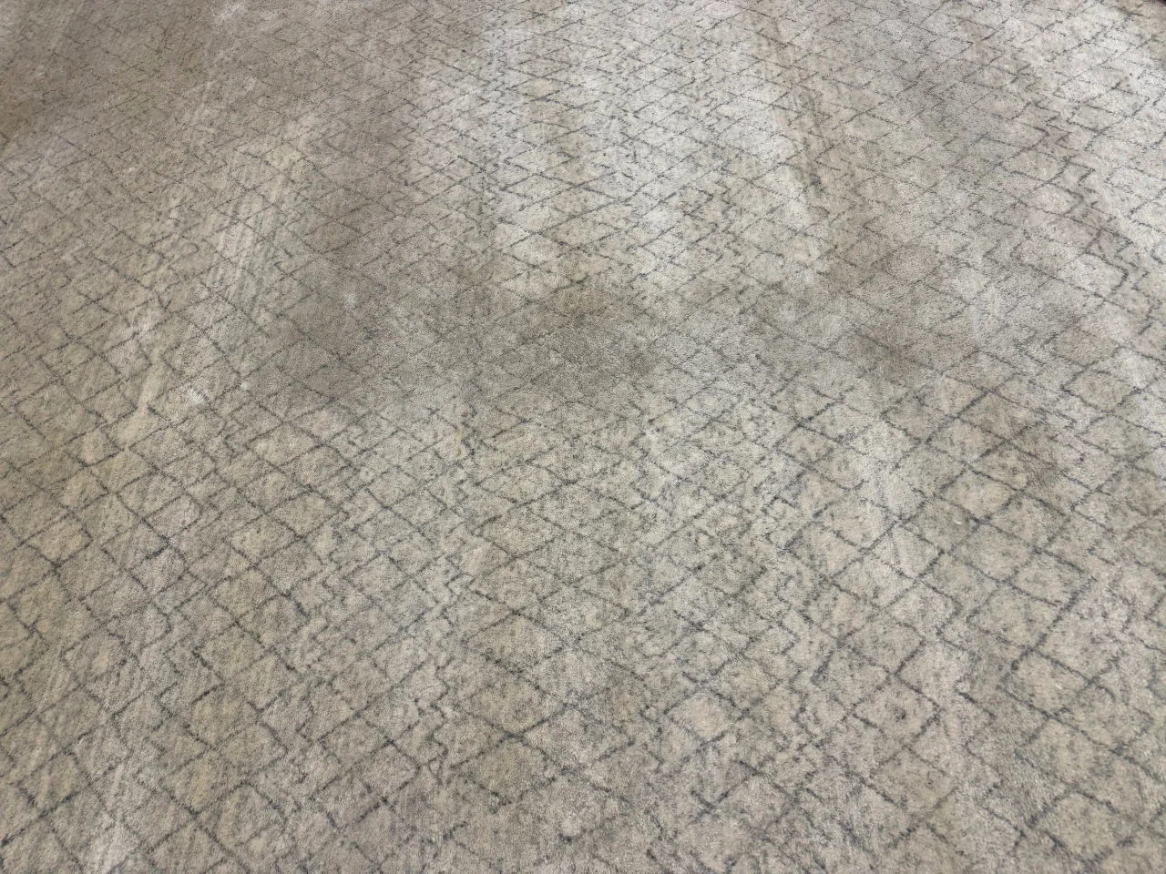 Before: soiled modern ivory wool rug with a charcoal diamond pattern, dull traffic paths and embedded grit, before cleaning in Lake Oswego
