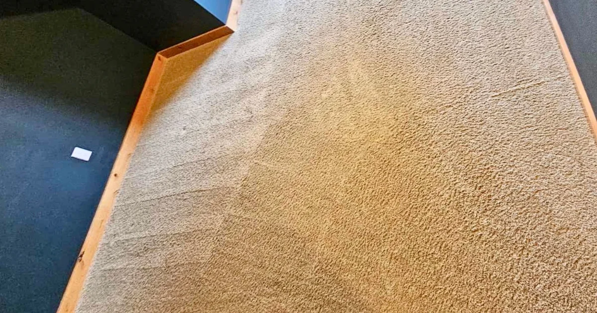 Freshly cleaned carpet in a Battle Ground, WA home with stains and dirt removed