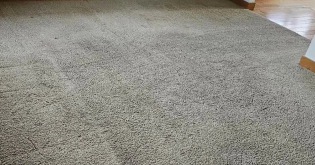 Stained and soiled carpet in a Battle Ground, WA home before cleaning