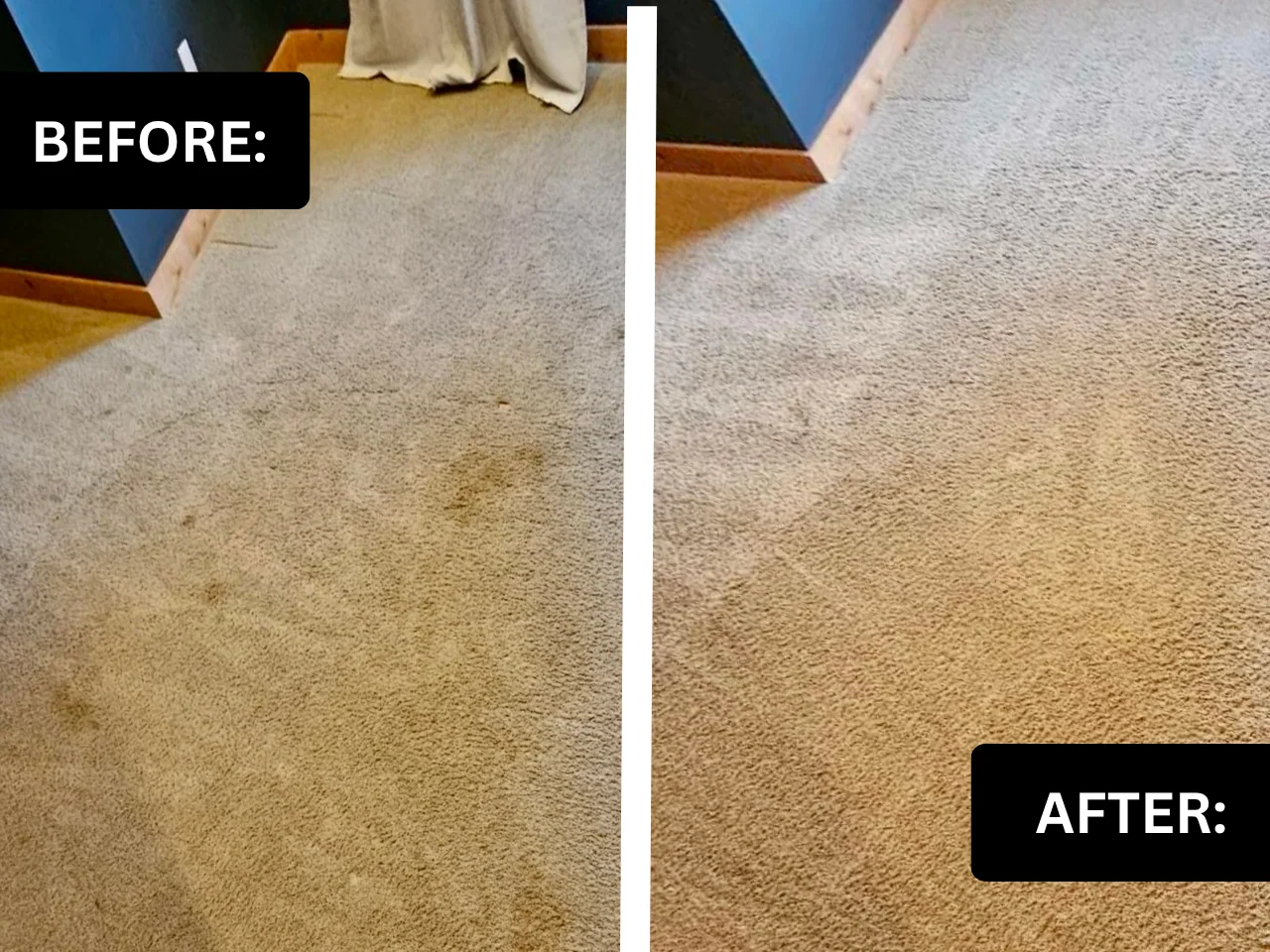 A stained carpet in a Battle Ground, WA home before cleaning next to the same carpet cleaned
