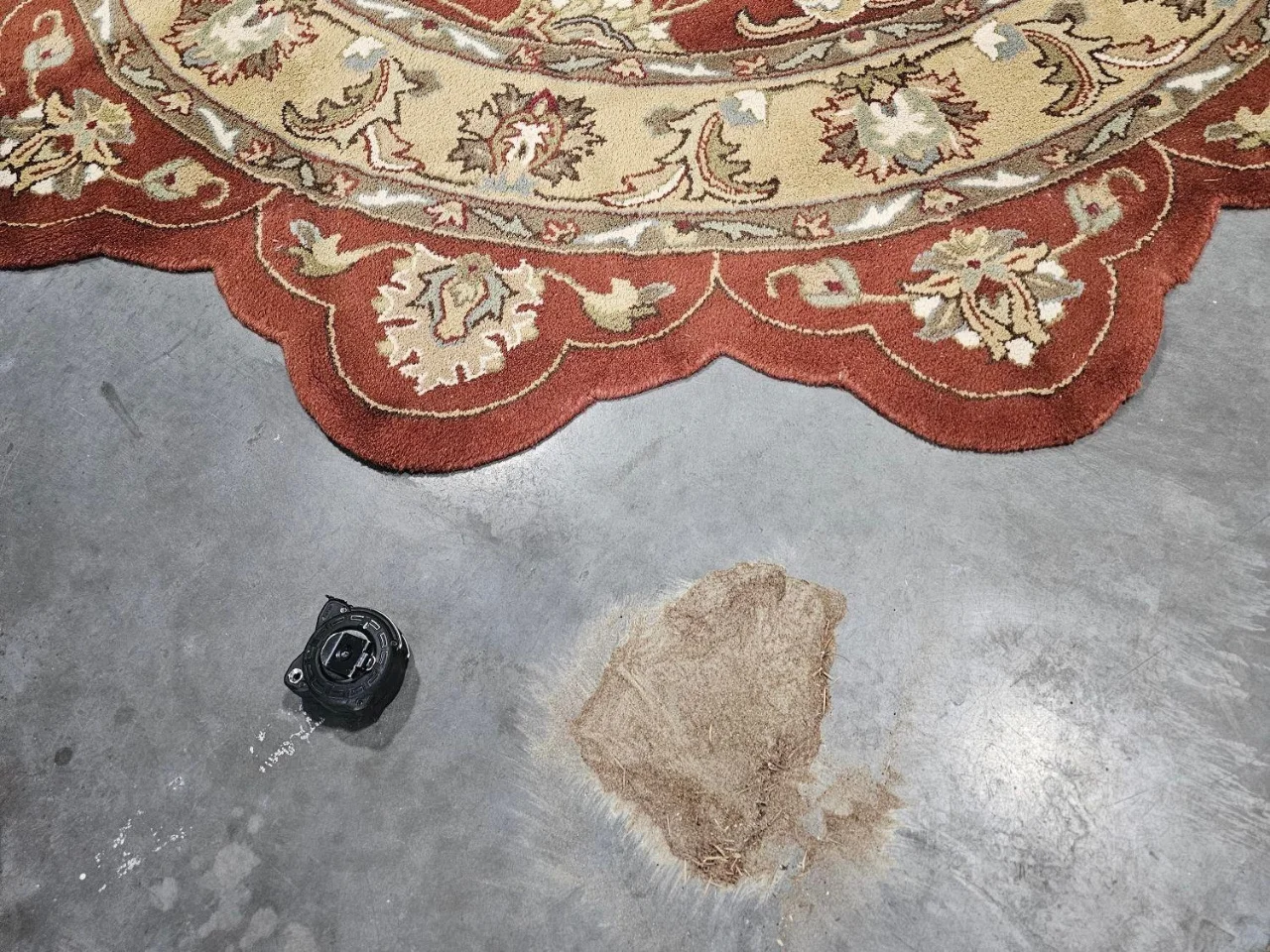 A pile of dry soil removed from an area rug before washing